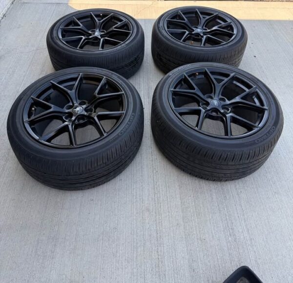 Mustang PP2 Ford Performance wheel and tires